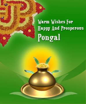 Pongal Greetings, Pongal Orkut Scraps, Graphics