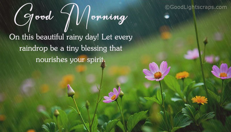 Good Morning! On this beautiful rainy day! Let every raindrop be a tiny blessing that nourishes your spirit.
