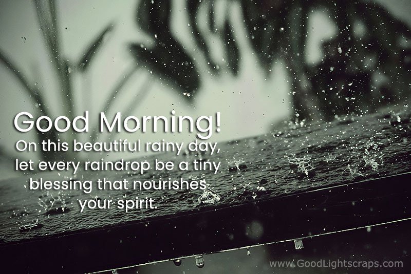 Good Morning! On this beautiful rainy day, let every raindrop be a tiny blessing that nourishes your spirit.