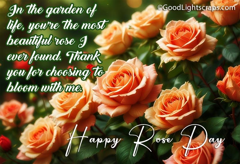 A rose day greeting card with a romantic message for husband