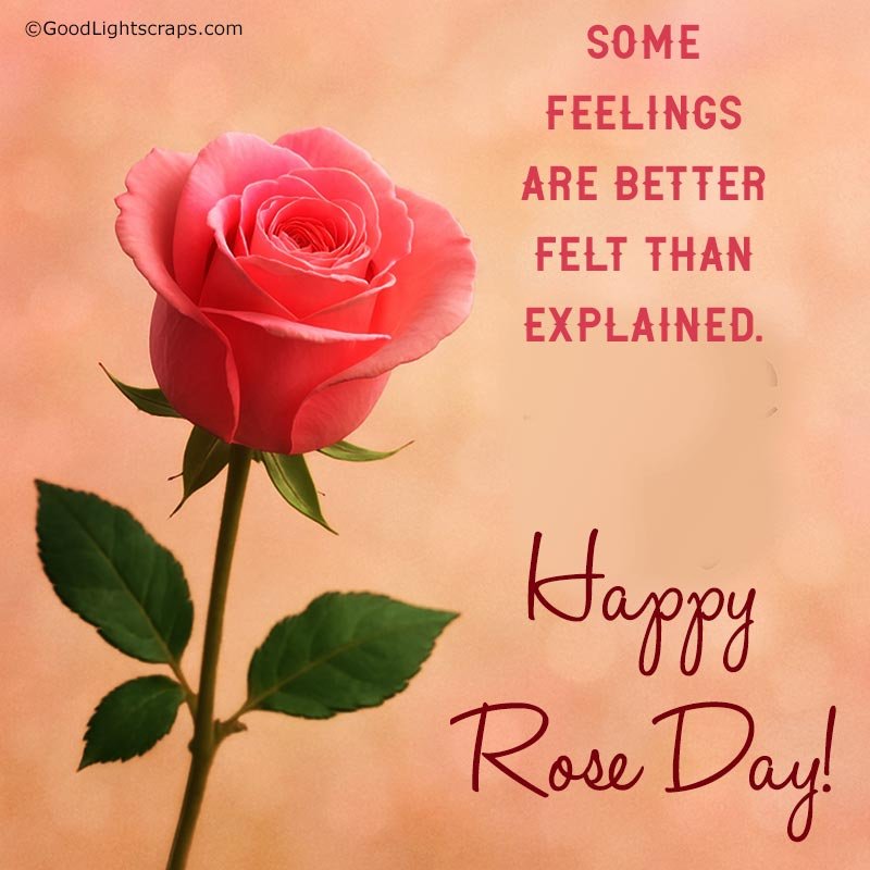 Happy Rose Day image wishes for everyone, your secret love or crush.