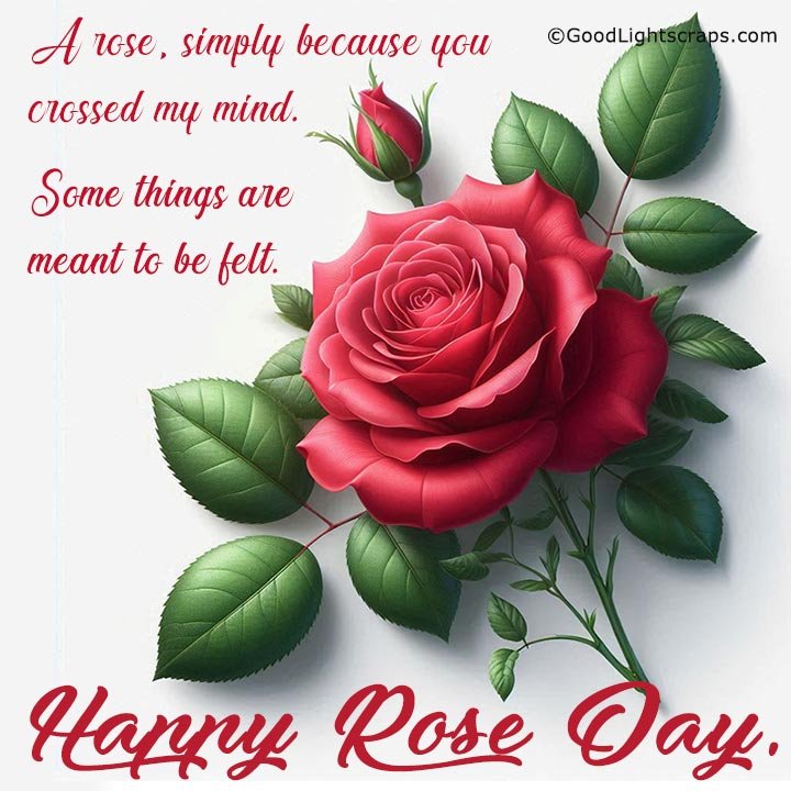 A rose, simply because you crossed my mind. Happy Rose Day!
