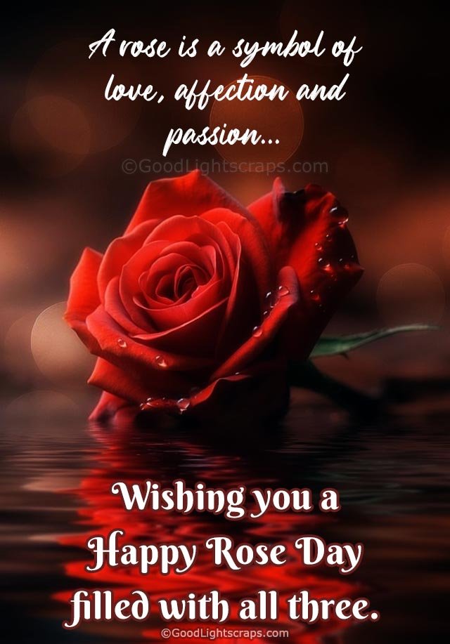 A rose is a symbol of love, affection and passion. Happy Rose Day!
