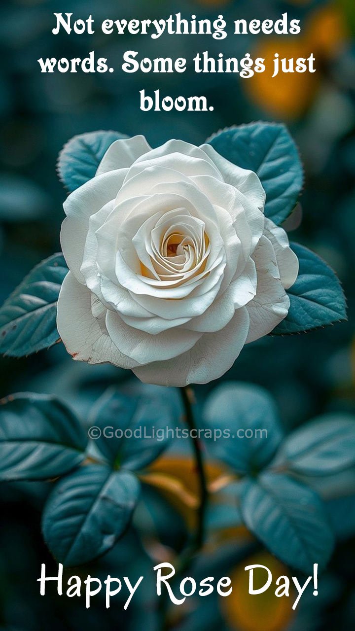 Happy Rose Day image wishes for your crush, secret love : Not everything needs words. Some things just bloom.
