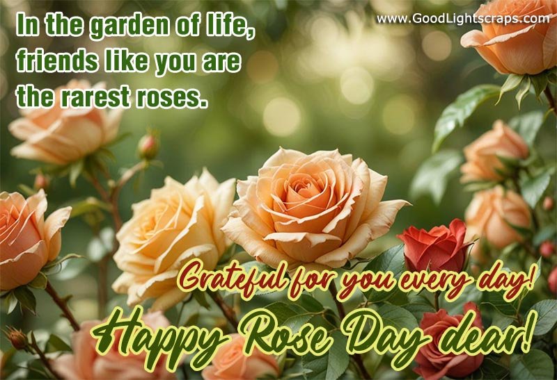 In the garden of life, friends like you are the rarest roses. Grateful for you every day! Happy Rose Day dear!