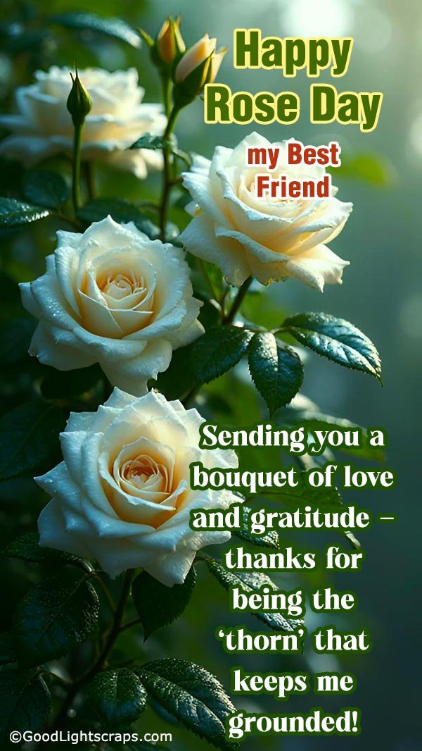 A Rose Day Greeting Card for Best Friend, with a Beautiful White Rose