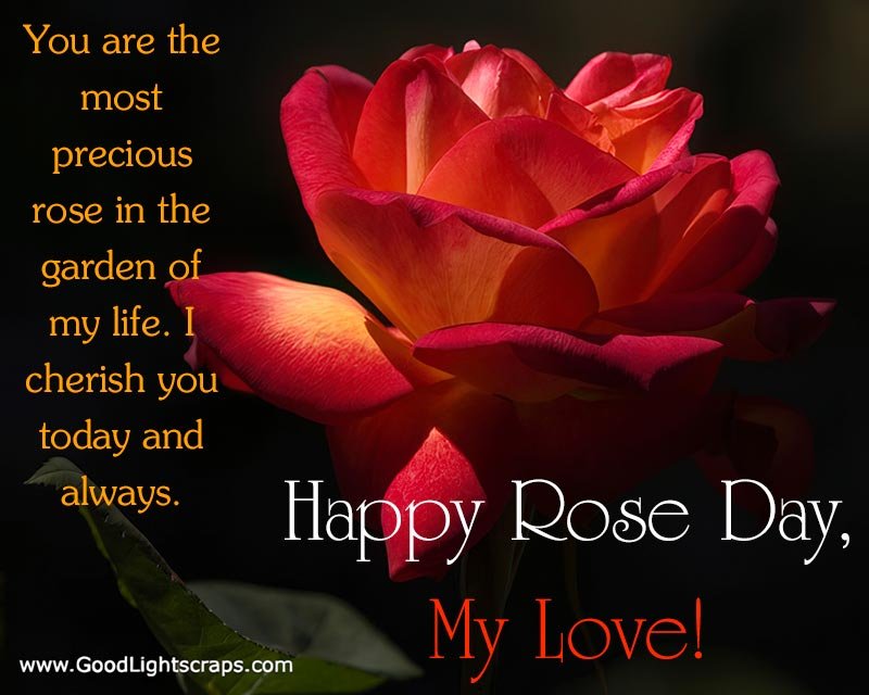Rose Day greeting card featuring a red rose with romantic message for husband or wife.