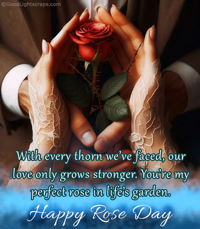 Two pair of hands holding a rose in a romantic background with a message: 'Happy Rose Day My dear..'