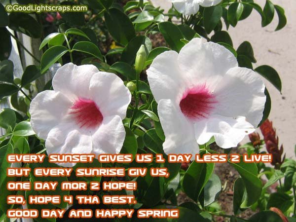 spring animated orkut scraps, spring images, greetings