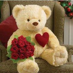 Teddy Bear Orkut Scraps, Graphics, Comments and Pictures