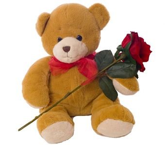 Teddy Bear Orkut Scraps, Graphics, Comments and Pictures