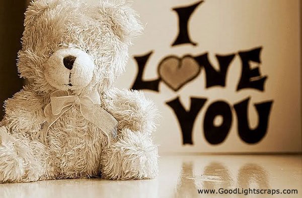Teddy Bear Orkut Scraps, Graphics, Comments and Pictures