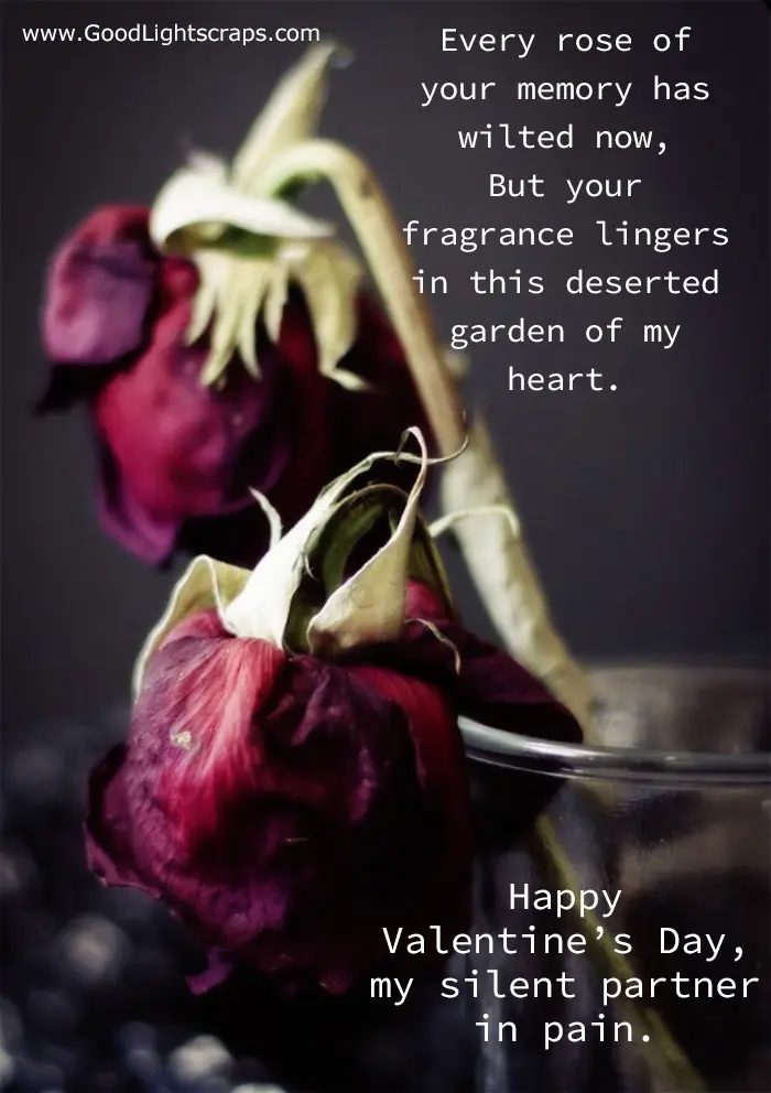 two wilted rose showing a lost and broken relation